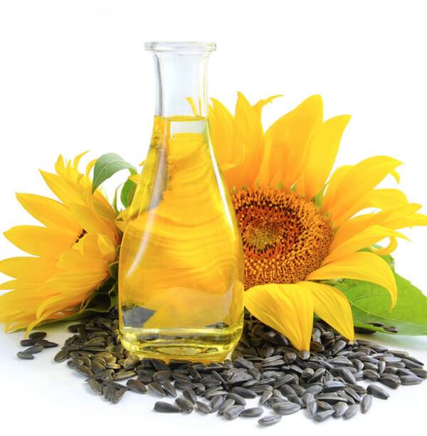 Sunflower oil from Goldstar oil Kilkenny